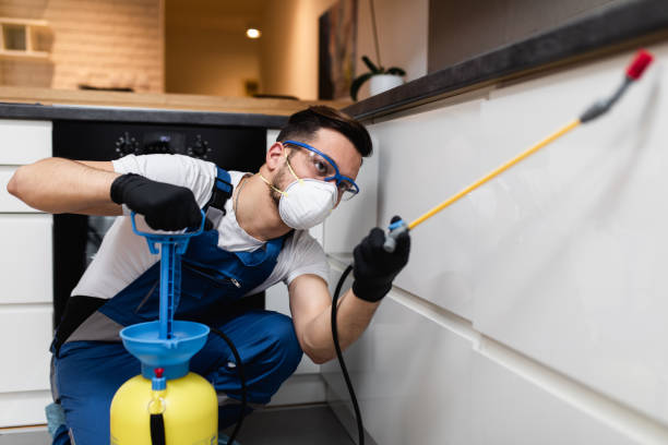 Best Mosquito Control Services  in Hawthorne, FL
