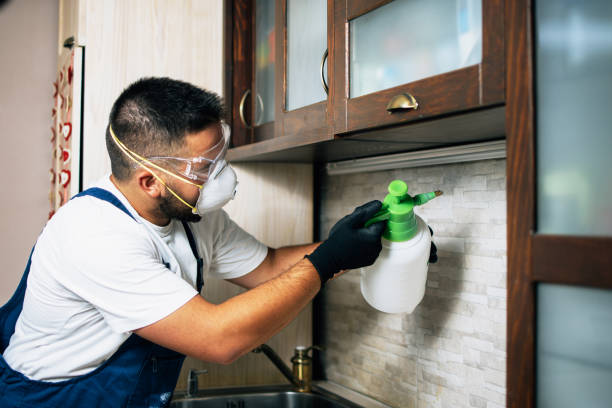 Pest Prevention Services in Hawthorne, FL