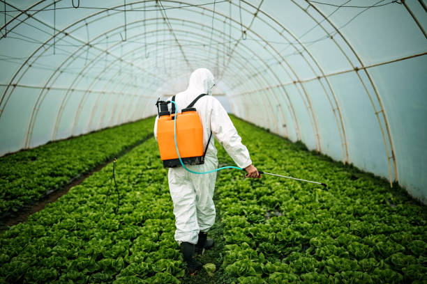 Best Pest Control Near Me  in Hawthorne, FL