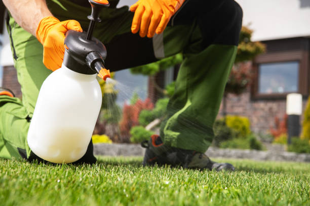 Best Rat Extermination Near Me  in Hawthorne, FL