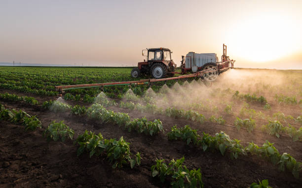 Best Commercial Pest Control Services  in Hawthorne, FL