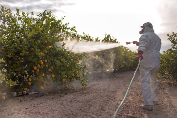 Best Pest Prevention Services  in Hawthorne, FL
