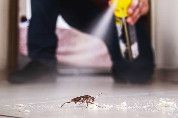 Best Best Pest Control Companies  in Hawthorne, FL