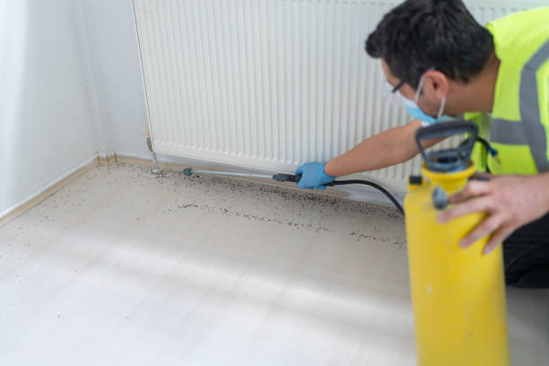 Best Cockroach Control Services  in Hawthorne, FL